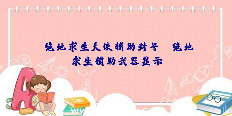 「绝地求生天使辅助封号」|绝地求生辅助武器显示
